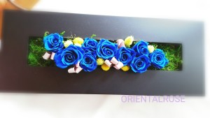 CYMERA_20151210_174913