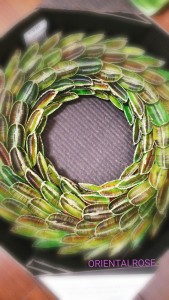 CYMERA_20151221_185958