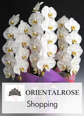 ORIENTALROSE Shopping