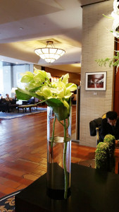 BeautyPlus_20160110220843_save