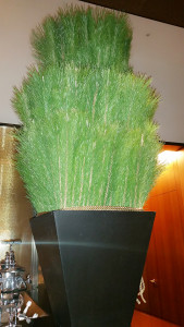 BeautyPlus_20160110222525_save