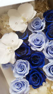 BeautyPlus_20160201115537_save (1)