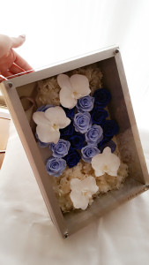 BeautyPlus_20160201115550_save (1)