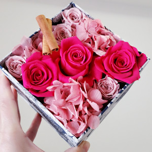 BeautyPlus_20160221144009_save