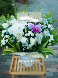 16-10-23-12-12-02-541_deco