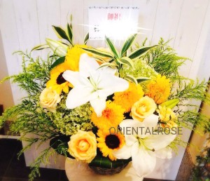 16-10-23-12-30-43-161_deco