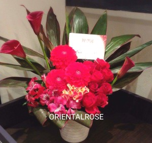 16-10-23-12-33-58-980_deco